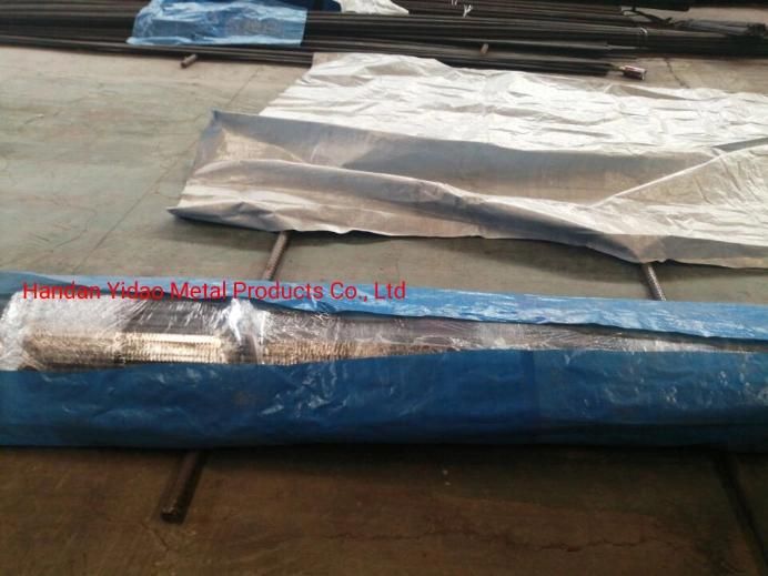 Galvanized Formwork Tie Rod with HDG Tie Nut