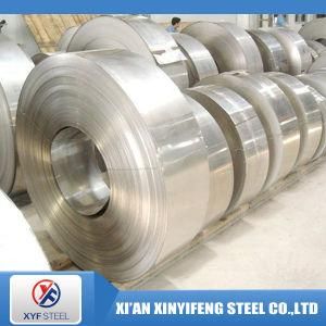 AISI Stainelss Steel 201, 304, 316 Coil Strip