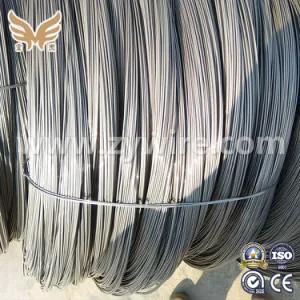 1.6mm-2.3mm Galvanized Steel Wire /Zinc Coated Wire