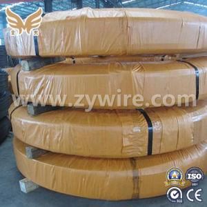 Oil Temper Steel Wire/Spring Steel Wire /Stainless Steel Rope