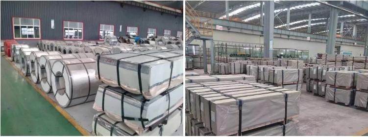 Excellent China Supplier ASTM 800mm Width Galvanzied Steel Sheet