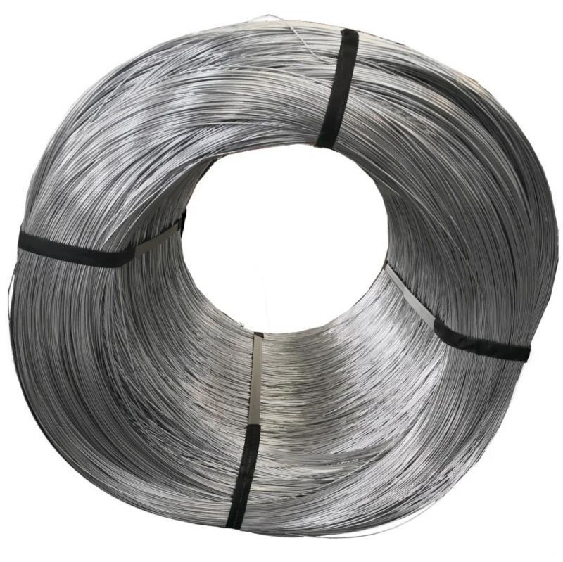 Dx51d Z40-275 Hot Dipped Galvanized Steel Coil for Roofing Materials