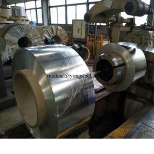 HS Code of 7210 Zinc, Aluminum, Tin, Al-Zn, Chromium Coated Steel, Chrome Coated Laminated Sheet Panel
