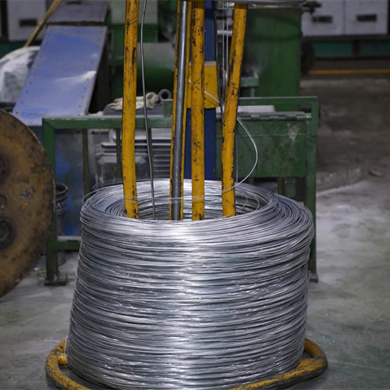 Hot DIP Galvanized Steel Wire for Wire Mesh and Cable Armouring