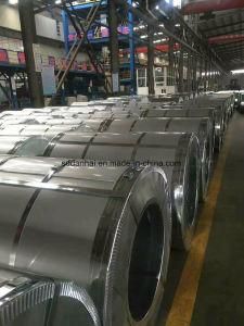Galvanized Steel Coils, Prepainted, Substrate as Customer&prime;s Request, Ral Color, Major China Supplier