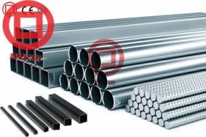 Hollow Section Steel Tube Shs 20*20-600*600mm/ 20*30-600*800mm with W. T. 1.0-40.0mm