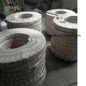 Cold Rolled Alloy Strip Steel in Coil Form