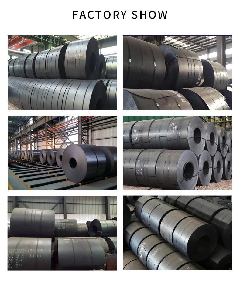 Professional Manufacturer Hot Rolled Q355 12mm 16mm Carbon Steel Coil Ms Sheet Metal Carbon Steel Coil St37 Hot Rolled Steel Coil Cold Rolled S235jr Carbon Coil