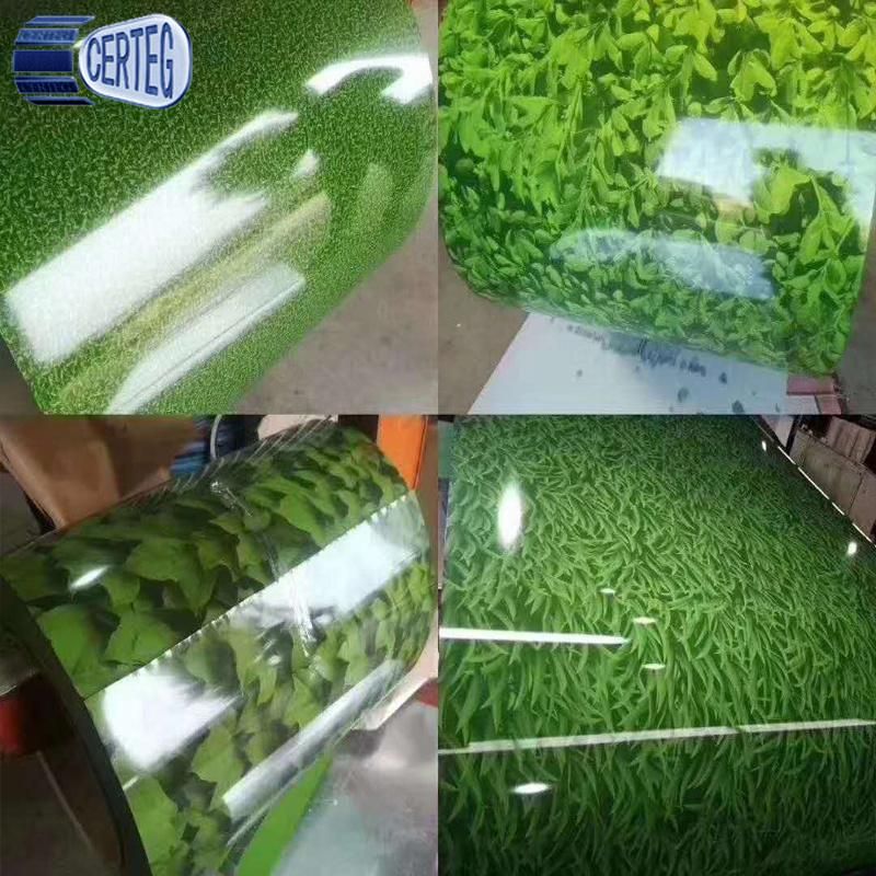 Chinese grass design PPGI galvanized steel coil