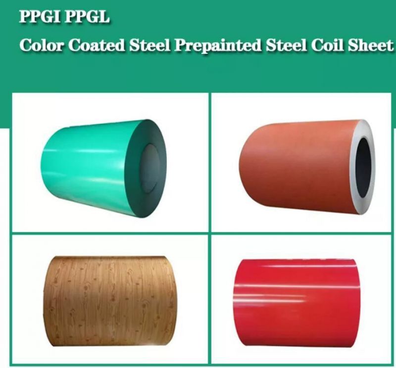 Prepainted Gi Steel Coil / PPGI / PPGL Color Coated Galvanized Corrugated Sheet in Coil