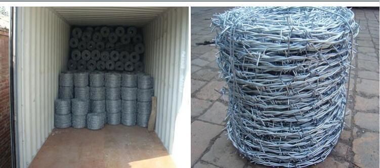 Factory Price Airport Protective Steel Hot DIP Galvanized Barbed Wire for Border
