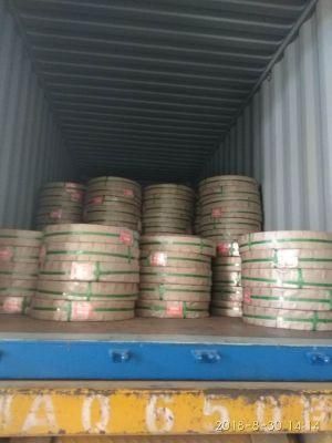 Carbon Steel Strip/Paper Creasing Knife/Spring Steel Strip