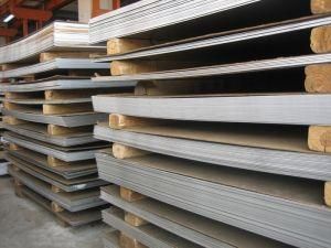 Stainless Steel Rebar / Plate / Strip by China Manufacturer and Stockholder for Building Material