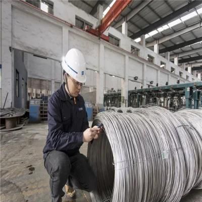 Factory Price Grade B C D High Carbon Spring Steel Wire