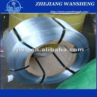 SAE 1008/B, SAE 1006b/1006, SAE1018, 1020 Low Carbon Steel Wire