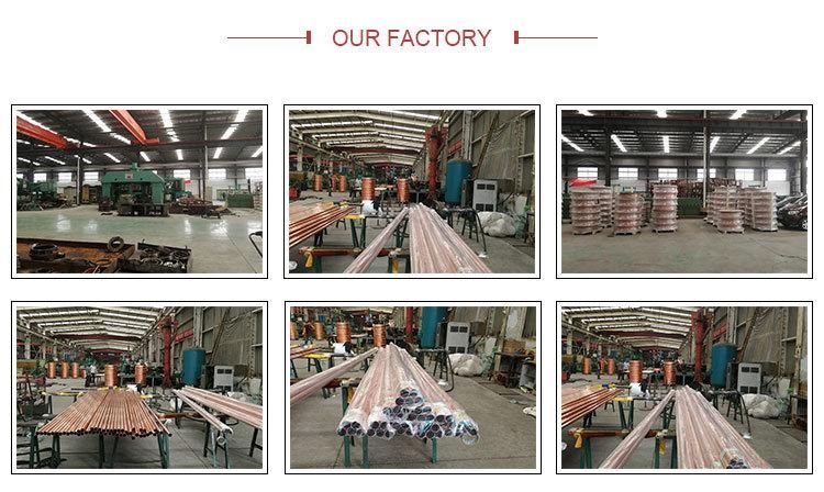 (GI, GL, PPGI, PPGL) Color Coated Prepainted Steel Coil for Roofing Sheet Factory PPGI Steel Coil