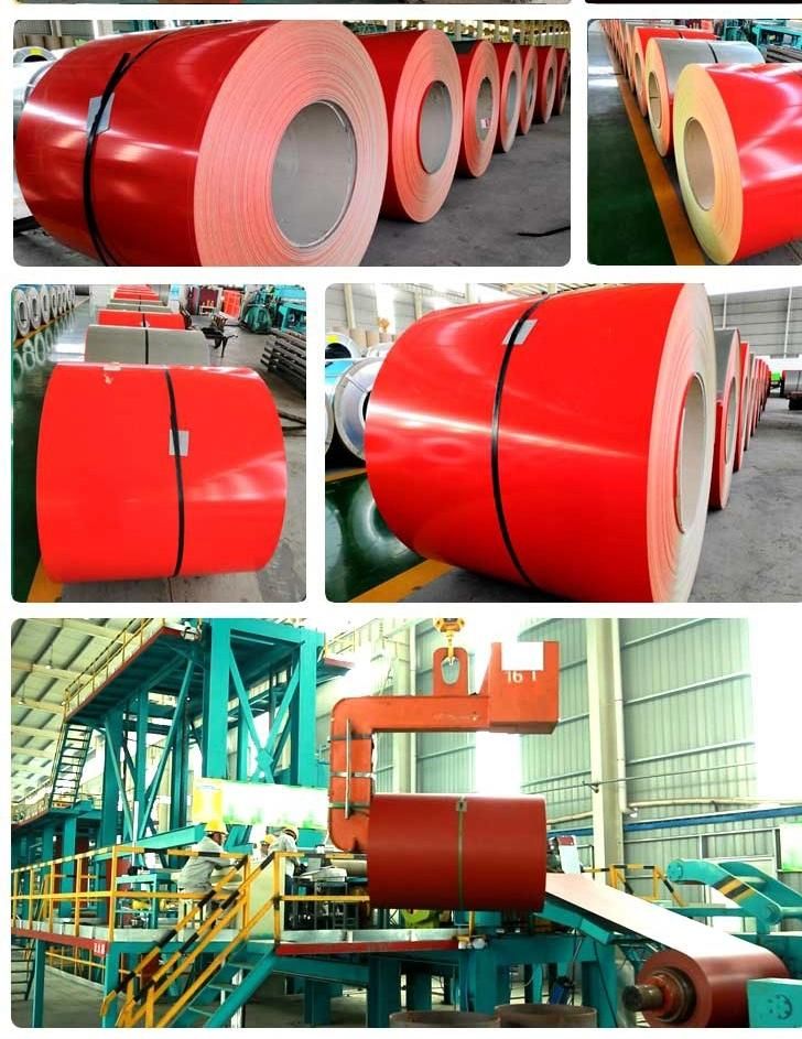 Hot Selling 0.12-1.5mm Color Steel Coil SPCC SGCC Dx51d Prepainted Galvanized Steel Coil
