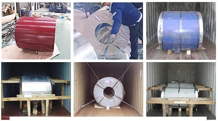 PPGL PPGI Ral Color Coated Prepainted Galvanized Steel Coil PPGI 9012