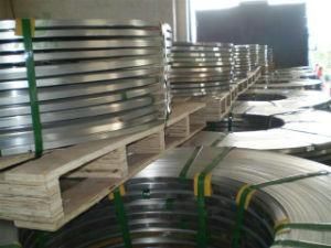 201 Stainless Steel Strip for Appliance