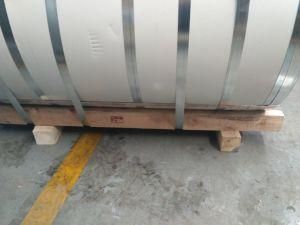 SPCC Hot Dipped Gi Galvanized Steel Coil 0.7mm Thickness