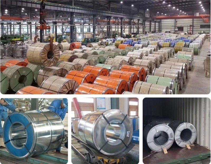 PPGI/HDG/Gi/Secc Dx51 Zinc Coated Cold Rolled Coil/Hot Dipped Galvanized Steel Coil