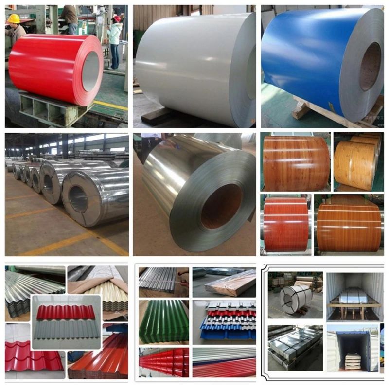 Chinese Supplier Hot Rolled Steel Coil St37 Iron Sheet Steel Plate/Coil