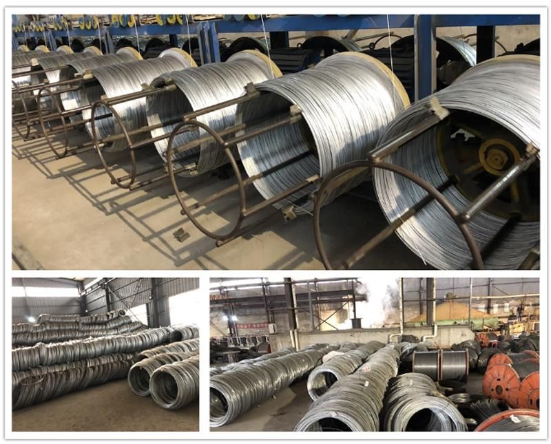 Low Price High Cold Rolling Flat Steel Wire