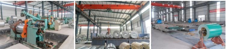 Ral 9012 White PPGI Prepainted Galvanized Steel Coil for 0.6mm Thick Prepainted Corrugated Steel Sheet