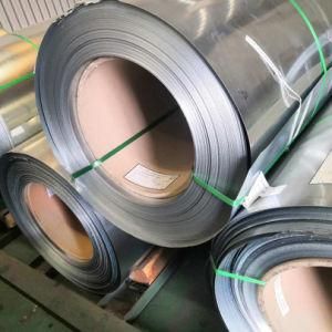 Ral Color Prepainted Galvanized Steel Coil with SGS Test (PPGI)