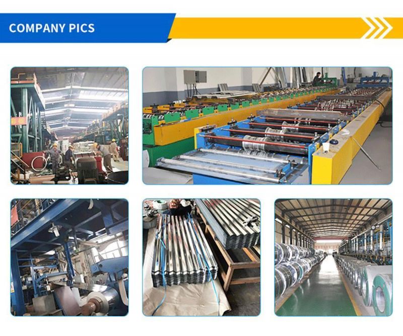 China Supplier Color Coated Galvanized Steel Coil PPGI HS Code for Building Materials