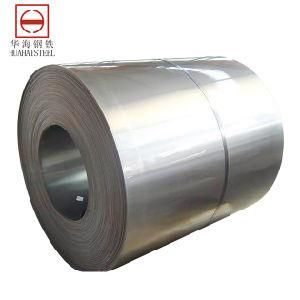 Hot Dipped Gi Galvanized Steel in Coil/Sheet (SGCC, dx51d)