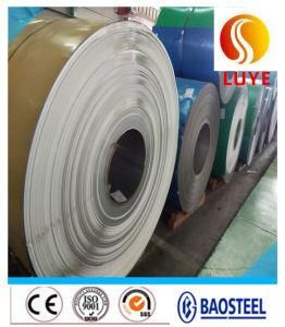 Stainless Steel Galvanized Coil Plate 310S 309S