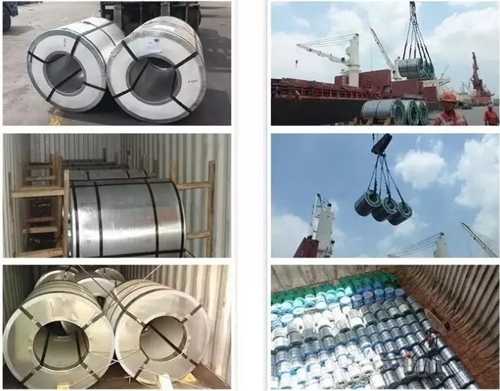 China Factory Hot Sale Sghc, SGCC, Dx51d, Q195 Grade Gi Coil 26 Gauge Galvanized Steel Coil