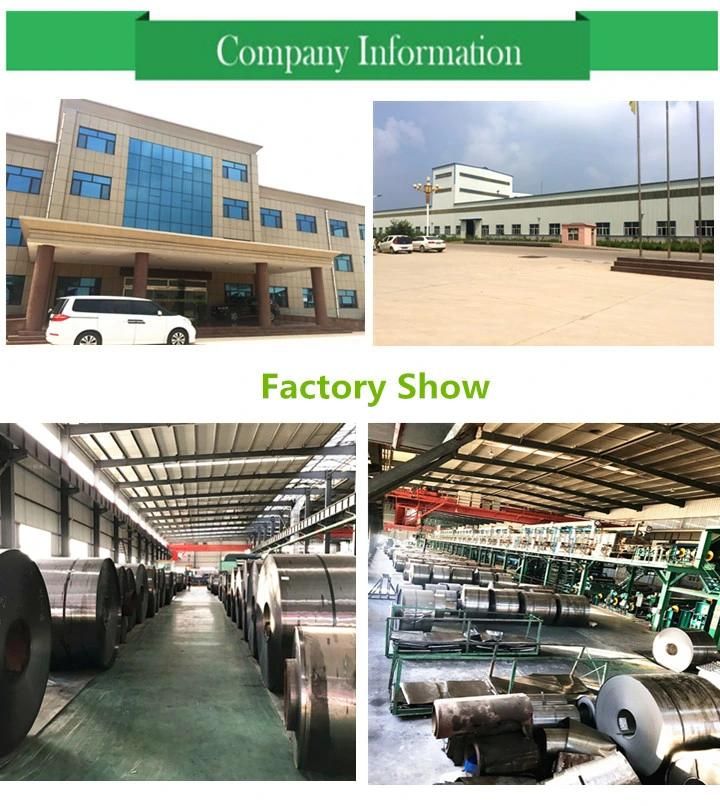 Galvanized Coil Factory