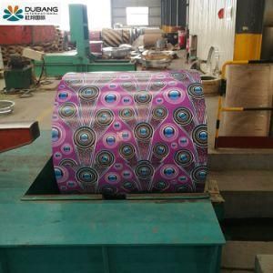Hot DIP Galvanized Cold Rolled PPGI with Flower Design