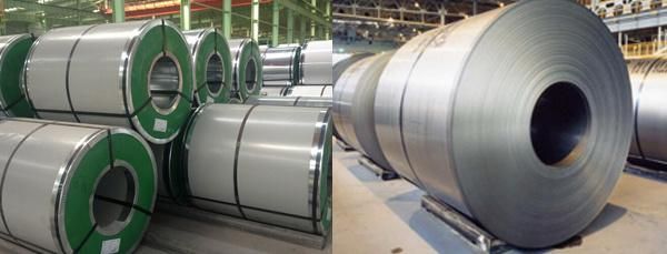 Hot Dipped Galvanised Steel Plate /Galvanized Zinc Plate/Galvanized Zinc Coil