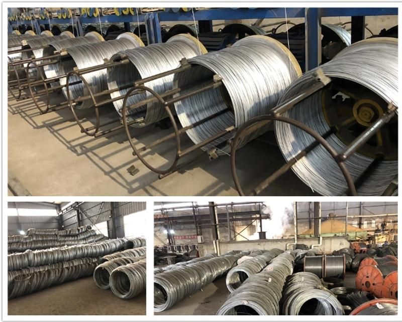 Chinese Suppliers Spring Steel Wire for Making Mattress