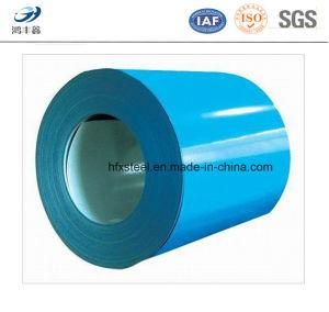 Prepainted Steel Coil PPGI Ral5017 (Sky Blue)
