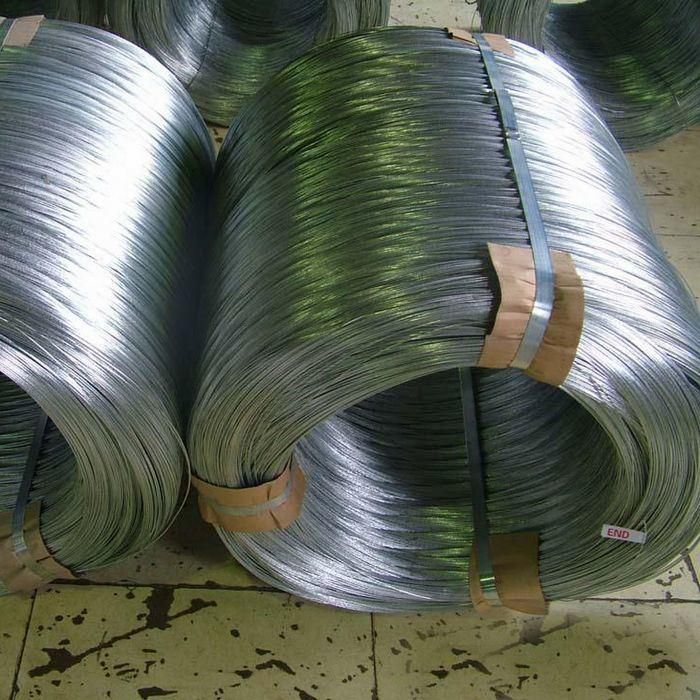 Suitable Price of Electro Galvanized Iron Wire