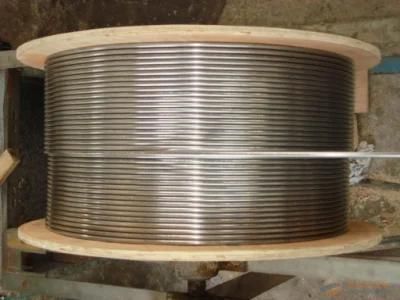 304/304L/316/316L/321 Stainless Steel Coiled (coil) Pipe/Tubes/Tubings for Oil and Gas Wells