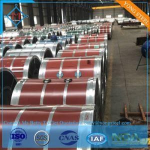 Roof Sheet PPGL Prepainted Gavalume Steel Sheet in Coil