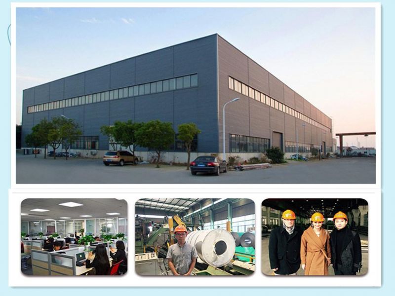 China Manufactory Boat Use PPGI/HDG/Gi/Secc Dx51 En DC01 Dx51 Zinc Hot Dipped Galvanized Steel Coil