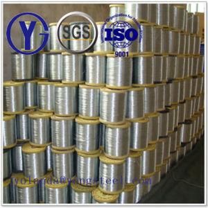 304/316 Stainless Steel Tiny Wire (0.035mm, 0.04mm, 0.045mm)