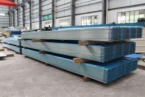 Steel Structure Building Material Wall and Roof Panel Single Sheet