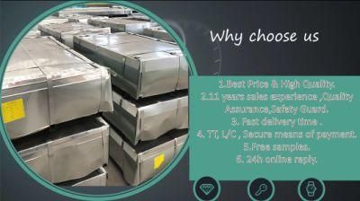 Steel Sheet Ss Sheet 301 with Good Price Zebra Steel