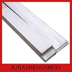 Hot Rolled Stainless Steel Flat Bar 304