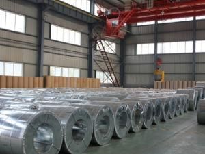 High Quality SGCC, Dx51d Gi Steel Coil