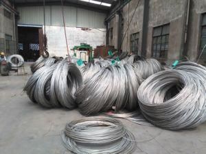 Stainless Steel Wire 316f