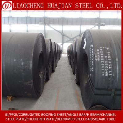 Hot Rolled Steel Plate in Coil