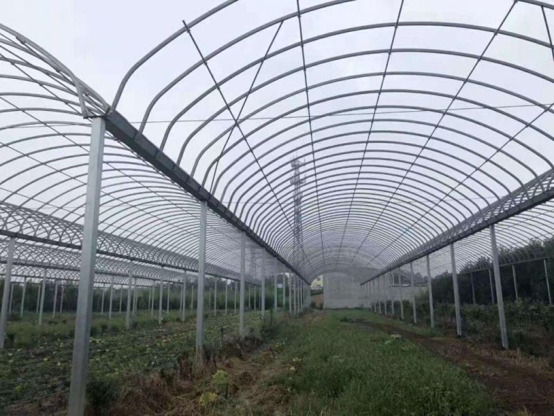 Pre Galvanized and Hot DIP Galvanized Steel Pipe for Greenhouse